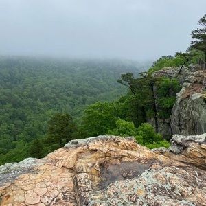 Meet your Posher, Darren